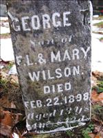 Wilaon, George T